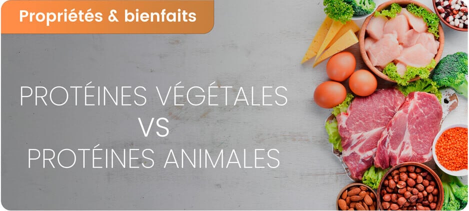 découvrez les multiples bienfaits des végétaux pour votre santé et votre bien-être. apprenez comment intégrer ces trésors de la nature dans votre alimentation pour améliorer votre vitalité, renforcer votre système immunitaire et favoriser un mode de vie équilibré.