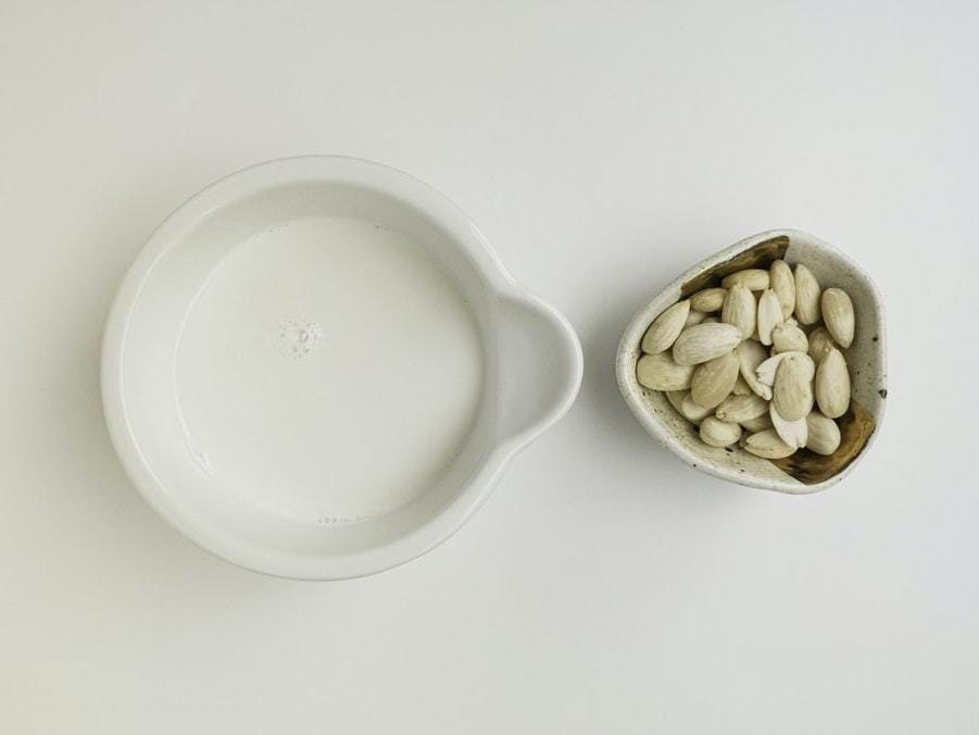 découvrez les nombreux bienfaits des végétaux pour la santé et l'environnement. explorez comment intégrer les plantes dans votre alimentation et votre mode de vie pour améliorer votre bien-être et favoriser la durabilité.