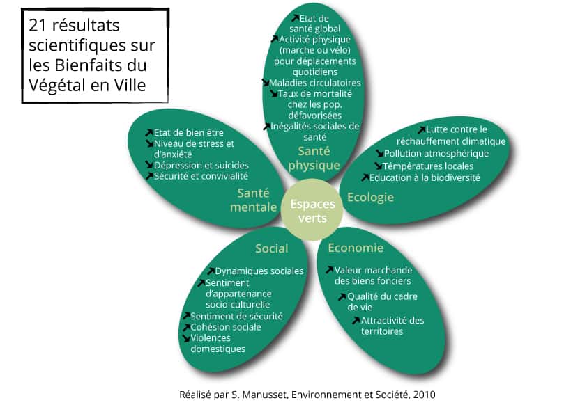 découvrez les bienfaits extraordinaires des végétaux pour votre santé et votre bien-être. apprenez comment intégrer ces trésors naturels dans votre quotidien pour profiter de leurs vertus nutritives et médicinales.