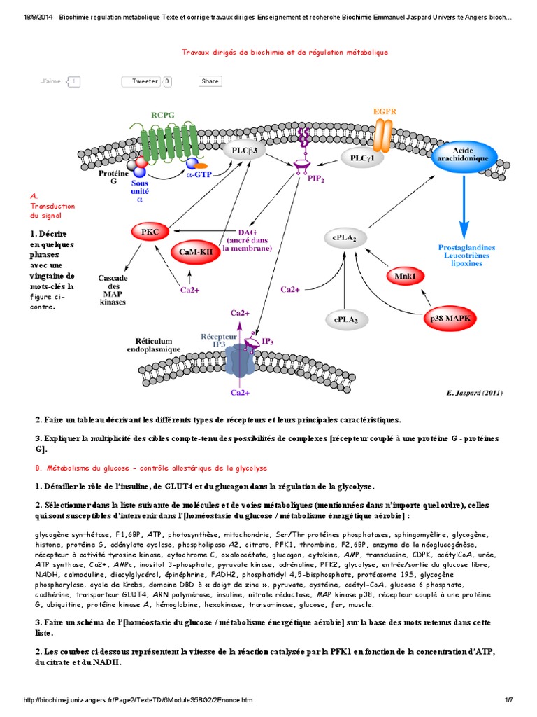 découvrez le circuit métabolique étudiant, un guide essentiel pour comprendre les processus biologiques et énergétiques du corps humain. parfait pour les étudiants en biologie, ce circuit met en lumière les interactions entre les différentes voies métaboliques et leur impact sur la santé. explorez chaque étape et améliorez vos connaissances scientifiques dès maintenant.