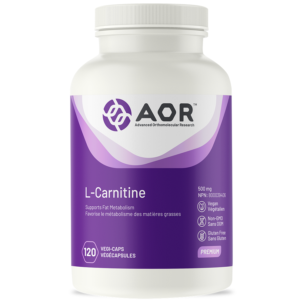 découvrez comment l-l-carnitine peut optimiser votre métabolisme. apprenez ses bienfaits, son rôle dans la combustion des graisses et comment l'intégrer à votre routine pour améliorer vos performances et votre santé.