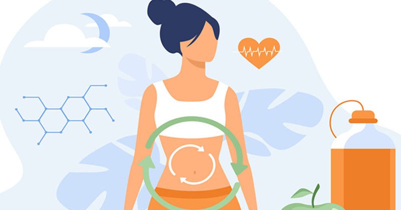 découvrez comment le métabolisme influence la production d'énergie dans le corps. apprenez les mécanismes clés qui régulent la transformation des nutriments en énergie vitale et comment optimiser votre métabolisme pour améliorer votre bien-être et vos performances.
